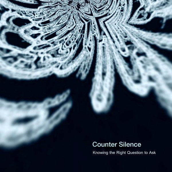 Counter Silence-Knowing the Right Question to Ask