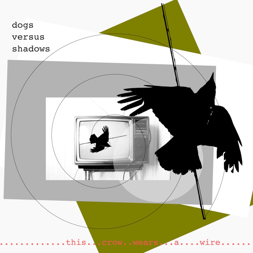 Dogs versus Shadows-This Crow wears a Wire