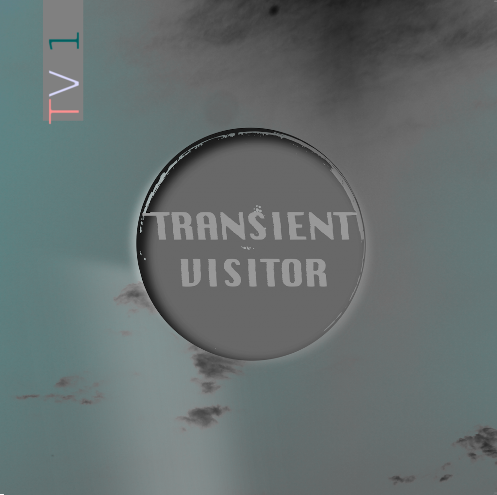 Transient Visitor-TV1