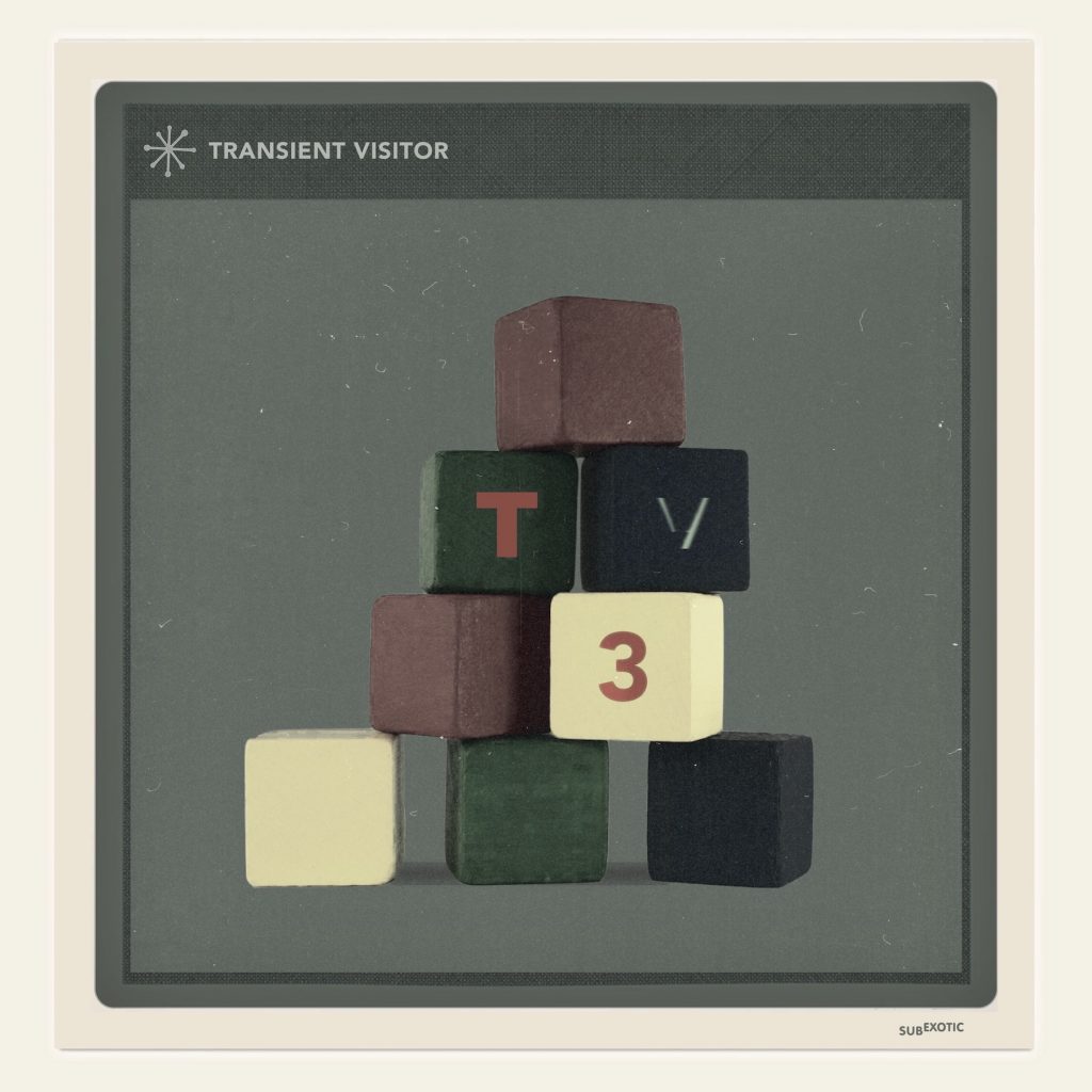 Transient Visitor-TV3