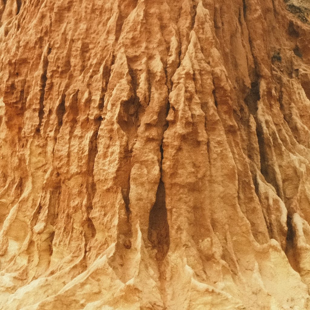 Felix Machtelinckx-Deep South